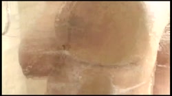 とにかくデカい爆乳女 サンプル画像10