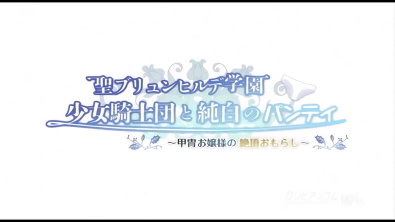 聖ブリュンヒルデ学園～少女騎士団と純白のパンティ～THE ANIMATION (逆輸入) サンプル画像19