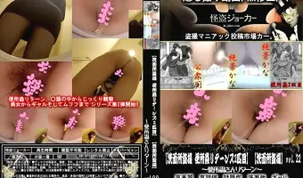 洗面所盗撮 便所蟲リターンズ2匹目 Vol.22