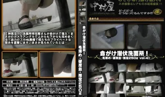 命がけ潜伏洗面所! 毛薄め・硬度並・推定250g vol.41