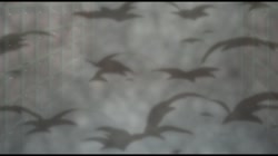 くの一牡丹 その二 (加工あり) サンプル画像5
