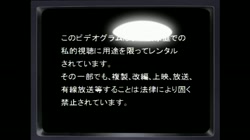 初夜 ヴァージン ナイト サンプル画像6