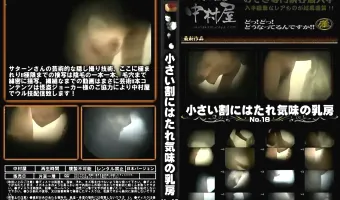 小さい割にはたれ気味の乳房 No.18