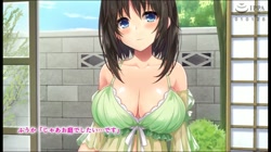 巨乳田舎娘と過ごすエッチな夏休み The Motion Anime (加工あり) サンプル画像17