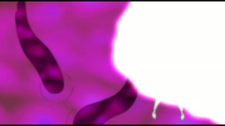 雷光神姫アイギスマギア―PANDRA saga 3rd ignition― The Animation 下巻 サンプル画像1