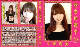 【中野恵美】餌食珍道中 732 中野恵美