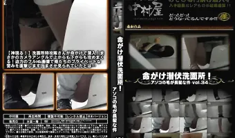 命がけ潜伏洗面所! アソコの毛が長髪な件 Vol.34