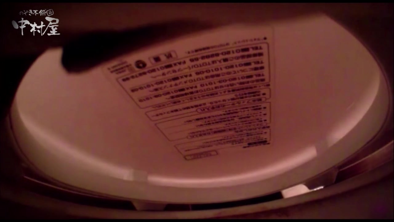女子トイレ盗撮 某ファミレス編 vol.21 サンプル画像17