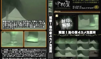 解禁 海の家4カメ洗面所 Vol.14