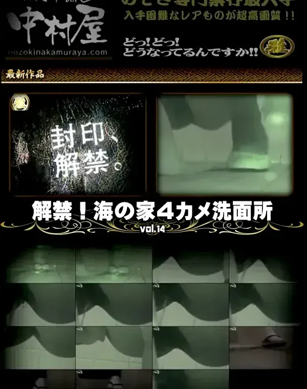 解禁 海の家4カメ洗面所 Vol.14ダウンロード