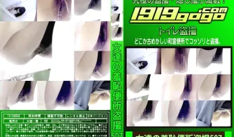 女達の羞恥便所盗撮 Vol.507