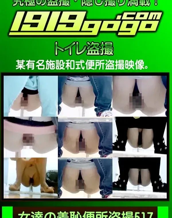 女達の羞恥便所盗撮 Vol.517ダウンロード