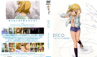pico ?ぼくの小さな夏物語? (加工あり)
