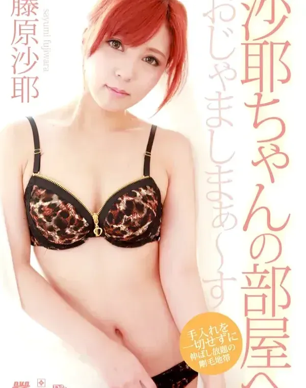 沙耶ちゃんのお部屋へおじゃましまぁ?す 藤原沙耶ダウンロード