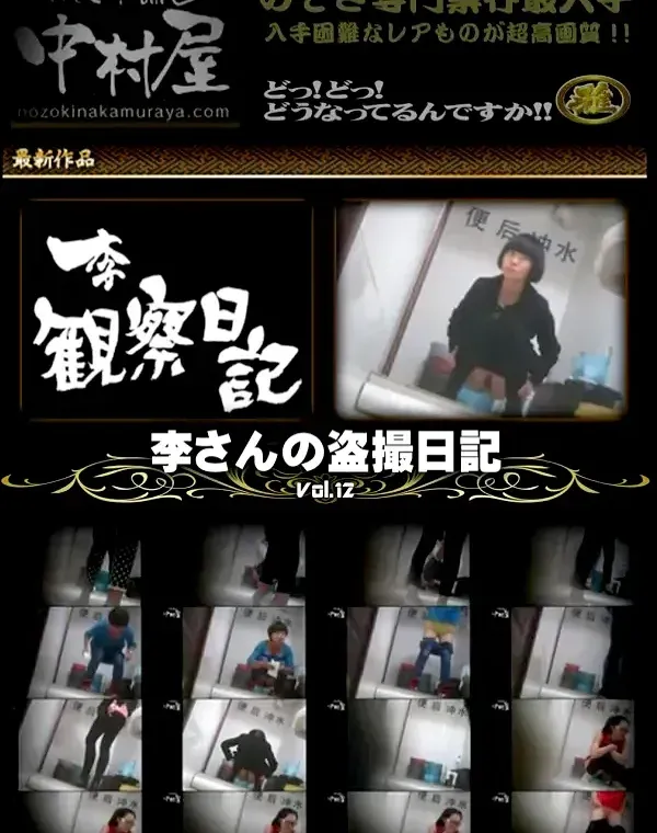 李さんの盗撮日記公開! Vol.12ダウンロード