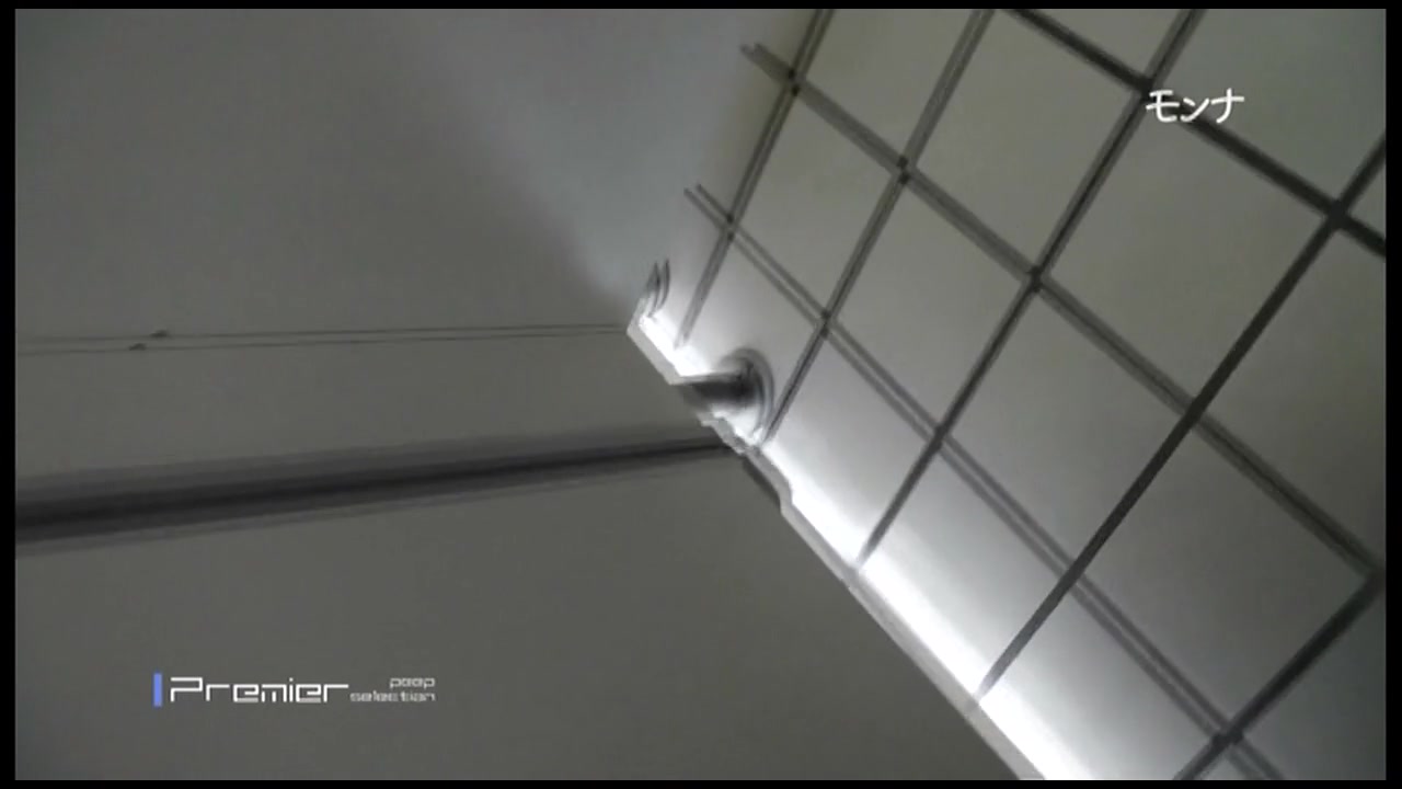 美しい日本の未来 No.109 見逃し厳禁 見てくださいこの美しい曲線 FHD美女トイレ盗撮 サンプル画像