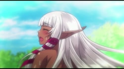 OVAようこそ！スケベエルフの森へ ＃4 エルフもダークエルフも仲良く子作り！ 救世主様と『ハーレム生活』 サンプル画像17