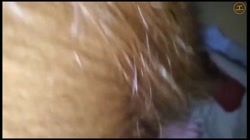 【個人】巨乳の二児の母、庭でお子さんが遊ぶ中他人棒に犯される。 サンプル画像