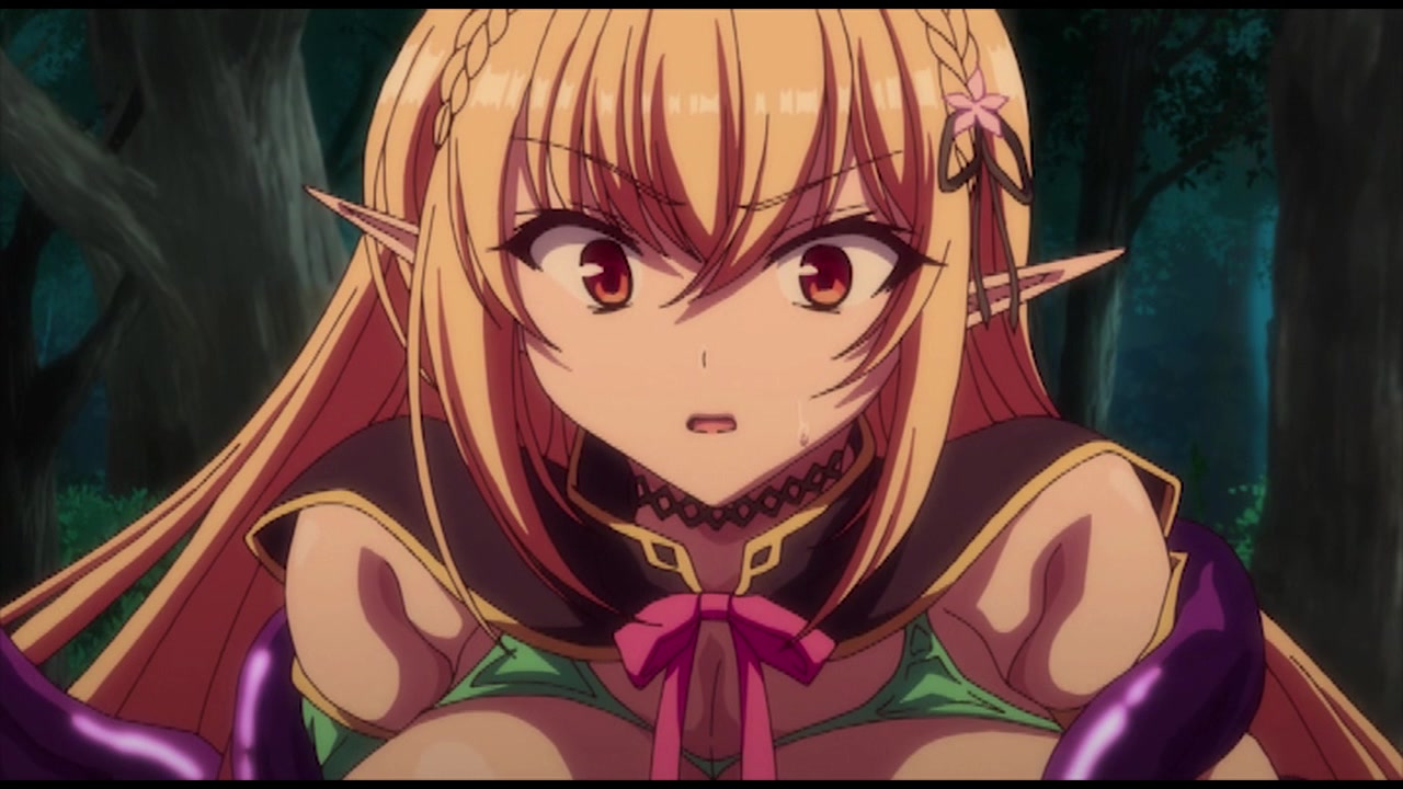 エルフに淫紋を付ける本 The Animation LEVEL:2 サンプル画像2