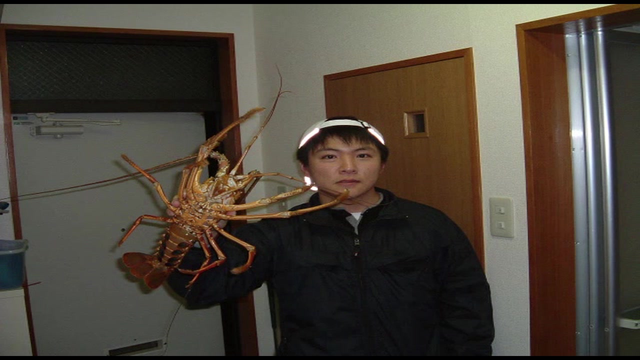 WINNY流出画像女子大生 無修正動画 裏DVD】鹿児島県職員中渡○久成 ハメ撮り流出&伊勢エビ密漁発覚事件 後編【ハメ撮り 痴女】 - 裏DVD・無修正DVD・ストリーミング  【裏DVDマリア】