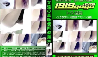 女達の羞恥便所盗撮 Vol.507
