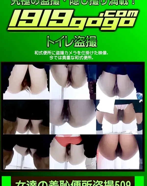 女達の羞恥便所盗撮 Vol.509ダウンロード