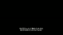 妹のふくらみ TheMovie (加工あり) サンプル画像