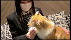 子猫のように可愛いJ〇Kコスプレイヤーと猫カフェデートから生ハメ！ 制服姿と初々しい反応に萌え過ぎてピンクまんこに大量発射！ サンプル画像1