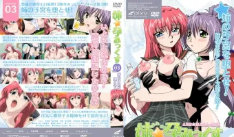 姉☆孕みっくす VOL.03 姉の子宮を堕とせ! (加工あり)