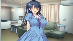 俺の妹は清純ビッチ～親には秘密のハメハメ性活～ (加工あり) サンプル画像5