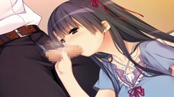 俺の妹は清純ビッチ～親には秘密のハメハメ性活～ (加工あり) サンプル画像9