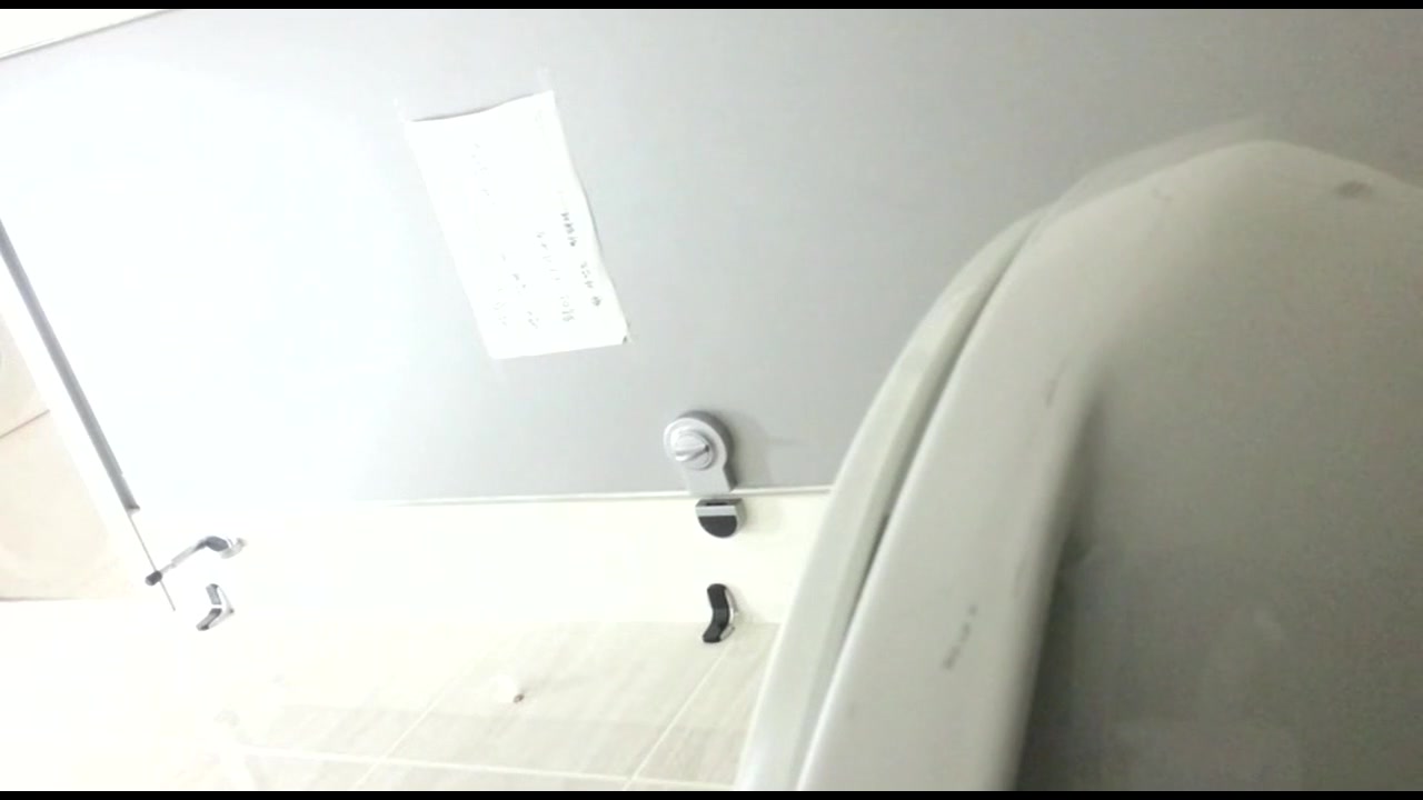 韓流トイレ盗撮vol.02 サンプル画像