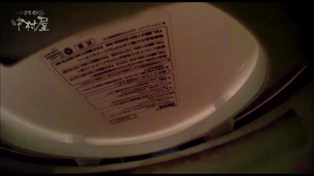 女子トイレ盗撮 某ファミレス編 vol.31 サンプル画像