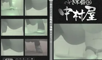 女子トイレ盗撮若い嬢編vol.11