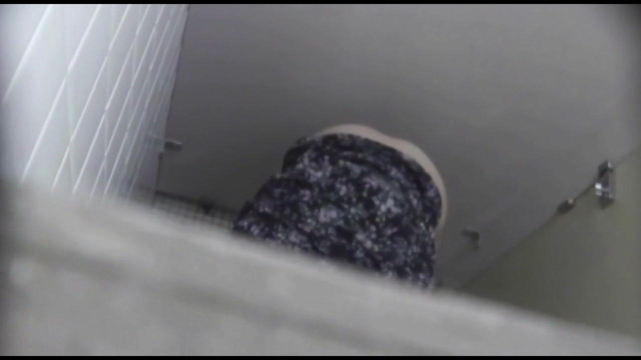 女達の羞恥便所盗撮 Vol.493 サンプル画像12