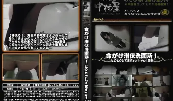 命がけ潜伏洗面所! ヒクヒクしてますyo! Vol.28