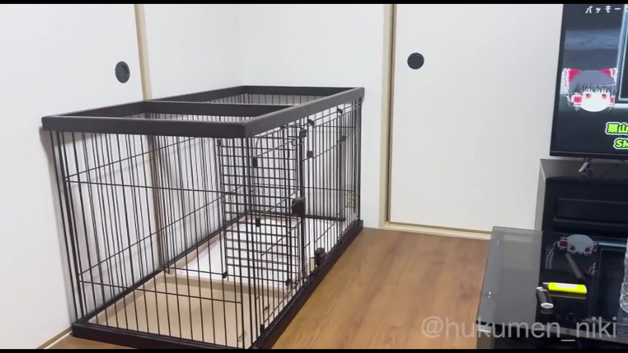 念願の監◯生活1日目…肉●器となった高●歴なお医者様候補に全ての予定をキャンセルさせて果てるまで中出しまくる記録。塾長からの電話が鳴り止まない… サンプル画像
