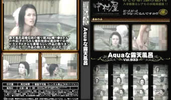 Aquaな露天風呂 Vol.933