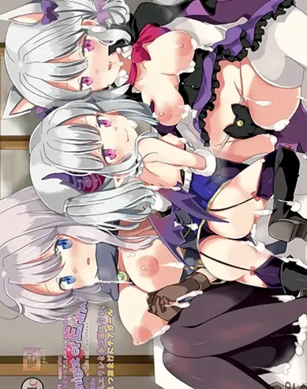 Knight of Erin 2nd tale（セカンドテイル） ウシ乳エリンとネコ耳エリン、もひとつおまけにチアガール (加工あり)ダウンロード
