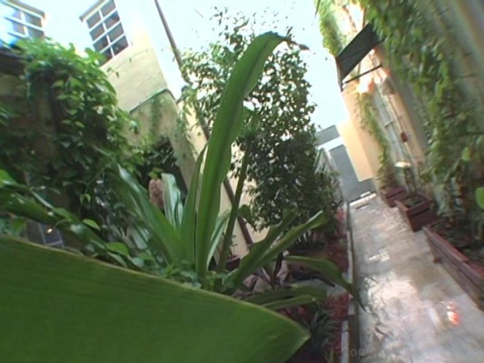 Filthy's Peepin' Tom 4 サンプル画像