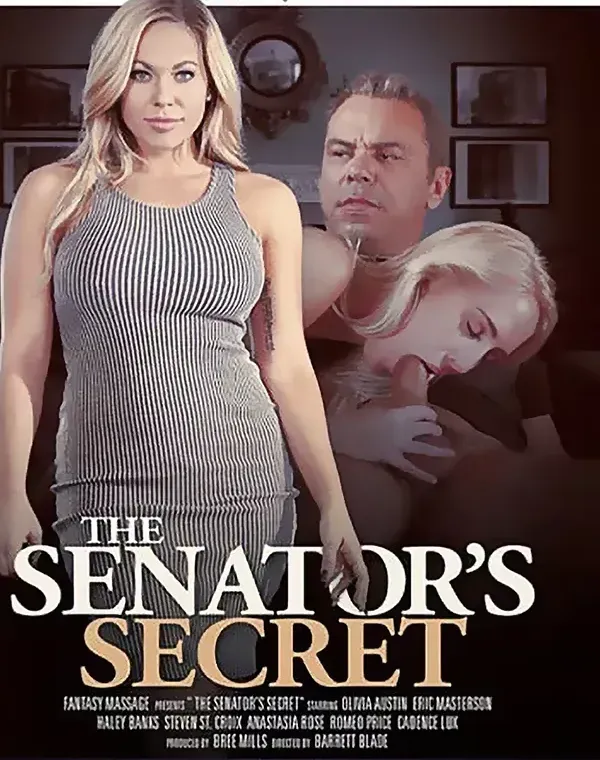 The Senator's Secretダウンロード