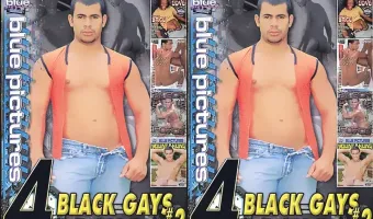 Black Gays 4 Pack 2 (4 DVD Set)