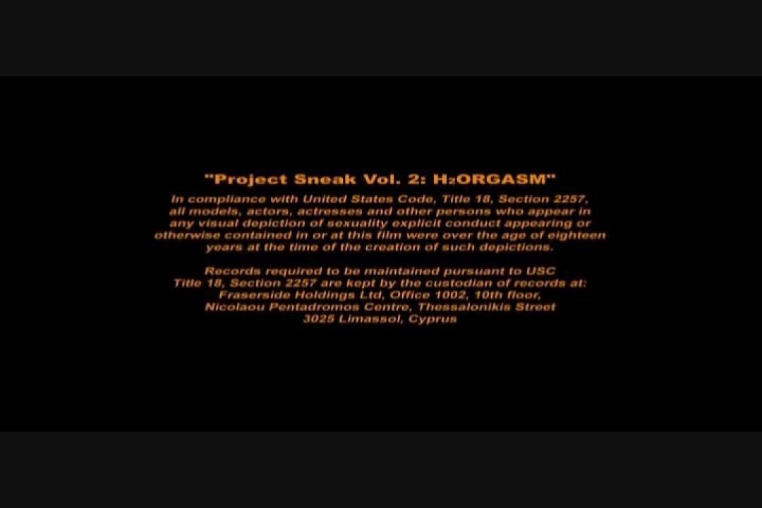 Project Sneak 2: H2 Orgasm サンプル画像37