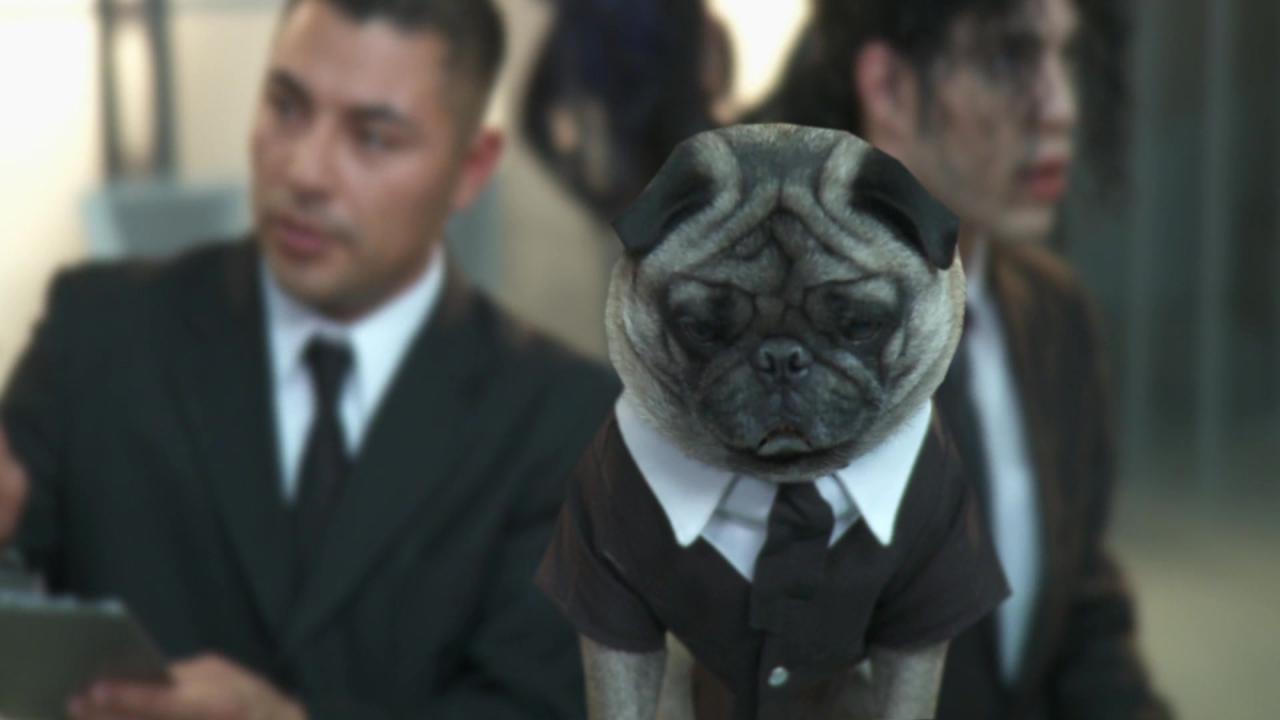Men In Black: A Hardcore Parody (2 DVD Set) サンプル画像
