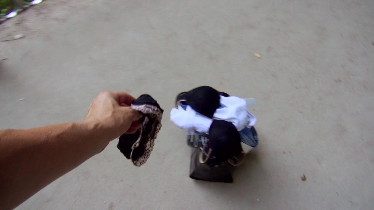 Public Pickups 13 サンプル画像