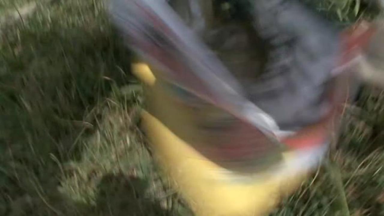 Pregnant Babes Want Cock 2 サンプル画像