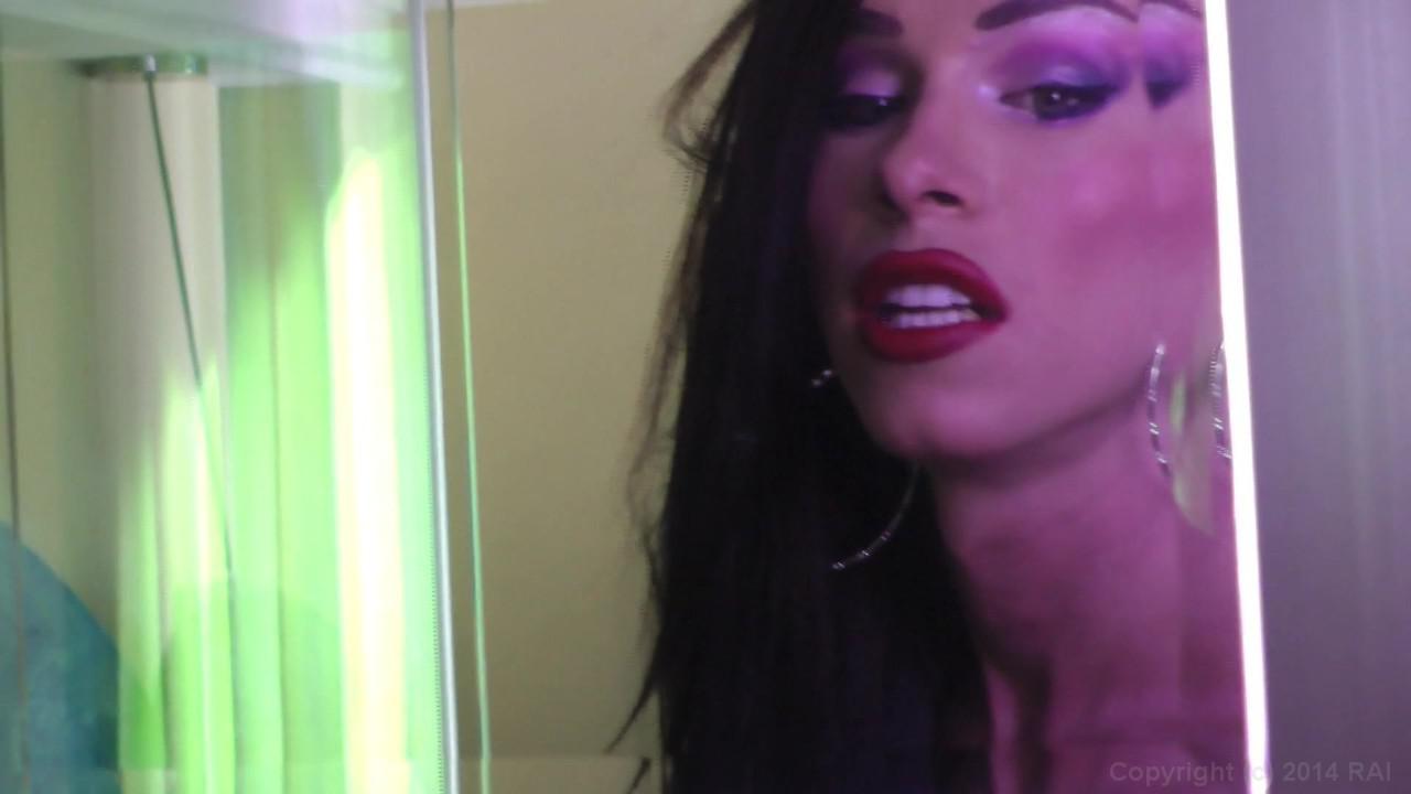 House Of She-Males 15 サンプル画像