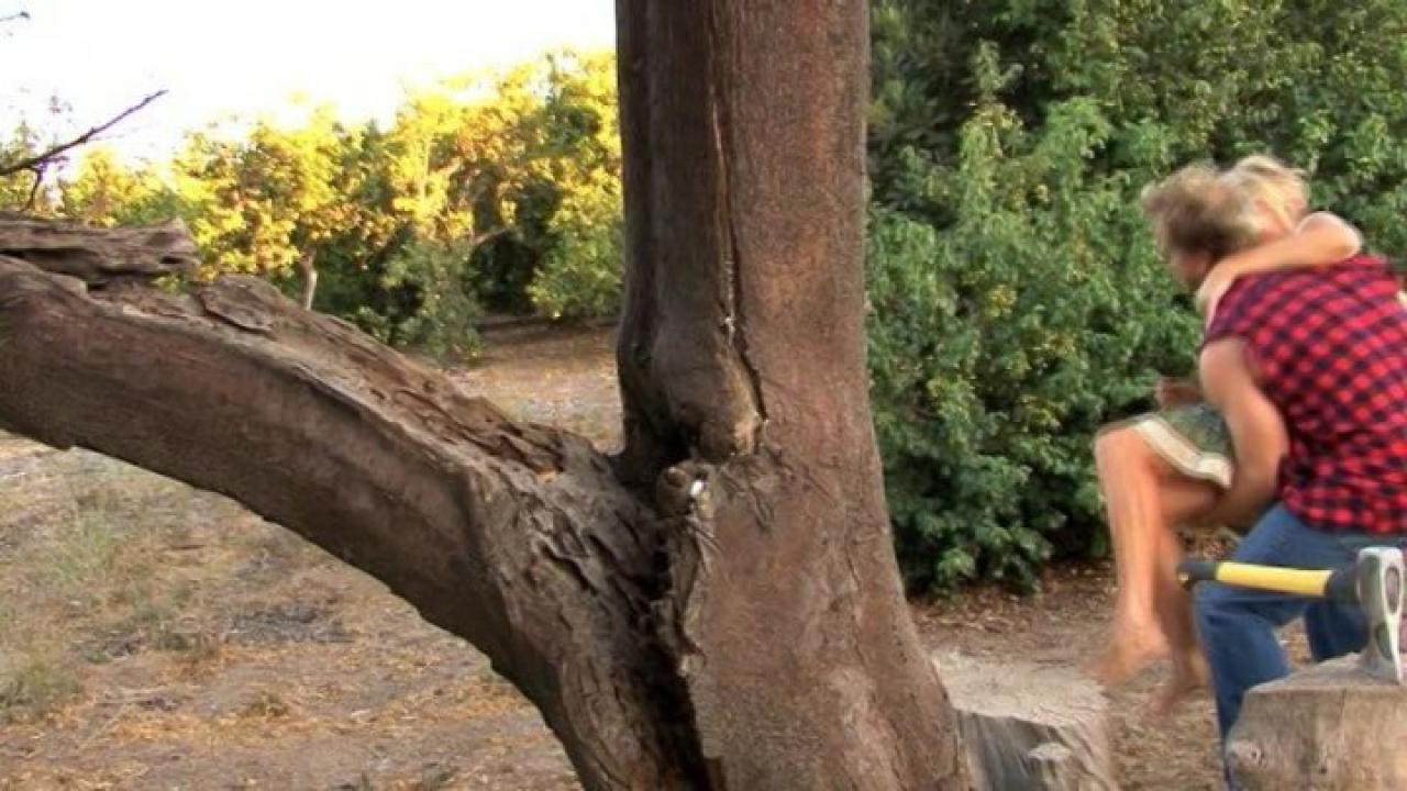 Naturally Exposed 10 サンプル画像