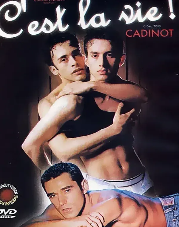 C'est La Vie！ダウンロード