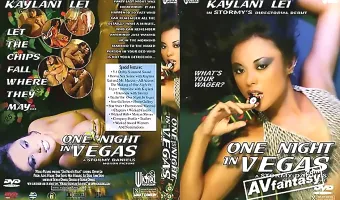One Night In Vegas